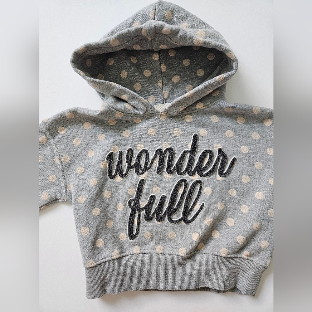 Zara kids girls “wonderful” hoodie Size 5 110 cm
